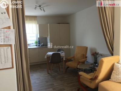 Rent apartment 1+KK Praha 14, Bryksova č. 2