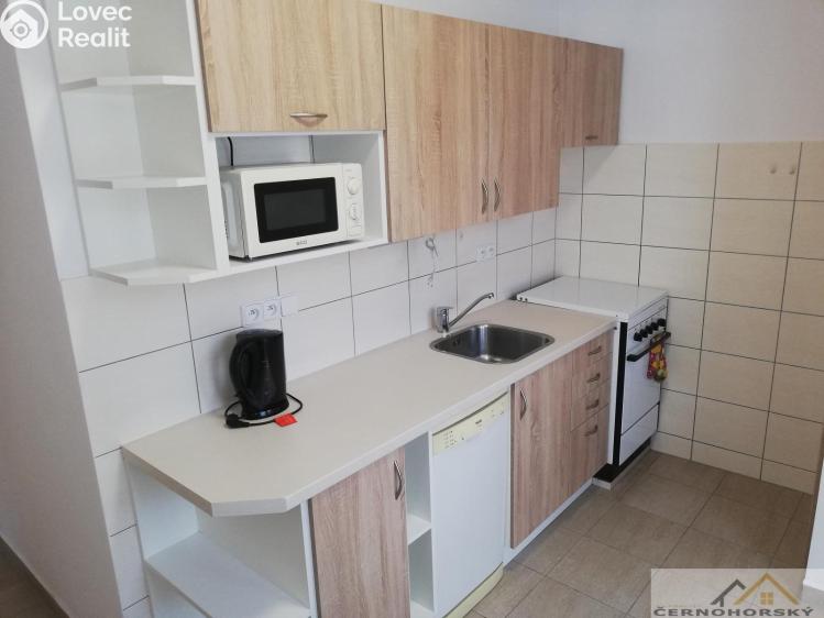 Pronájem bytu 2+1 Louny, Fűgnerova 1976 č. 1