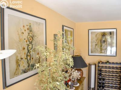 Prodej vícegeneračního domu Olšany č. 4