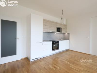 Pronájem bytu 2+KK Praha, Breitfeldova č. 1