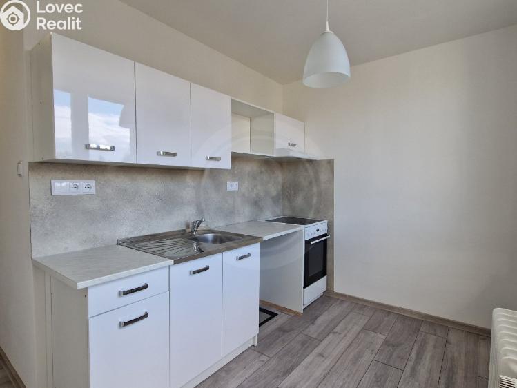 Pronájem bytu 2+1 České Budějovice, Fr. Škroupa 642/3 č. 4