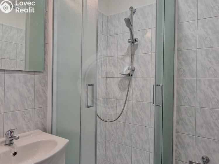 Pronájem bytu 2+1 České Budějovice, Fr. Škroupa 642/3 č. 7