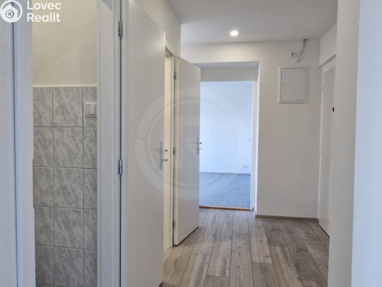 Pronájem bytu 2+1 České Budějovice, Fr. Škroupa 642/3 č. 9
