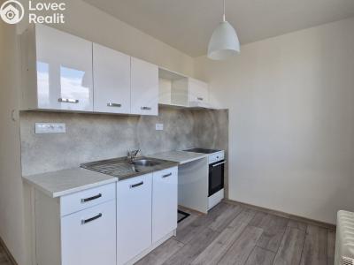 Rent apartment 2+1 České Budějovice, Fr. Škroupa č. 4