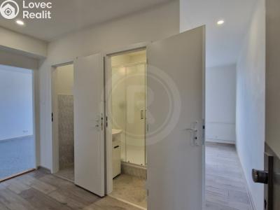 Rent apartment 2+1 České Budějovice, Fr. Škroupa č. 6