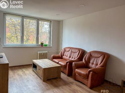 Pronájem bytu 1+1 Ostrava, Výškovická č. 6