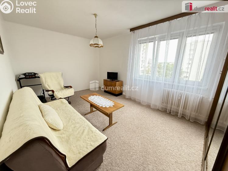 Rent apartment 1+1 Kralupy nad Vltavou, Předmostí č. 19