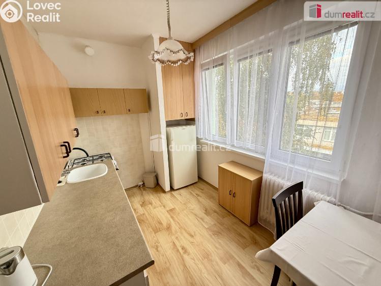 Rent apartment 1+1 Kralupy nad Vltavou, Předmostí č. 5