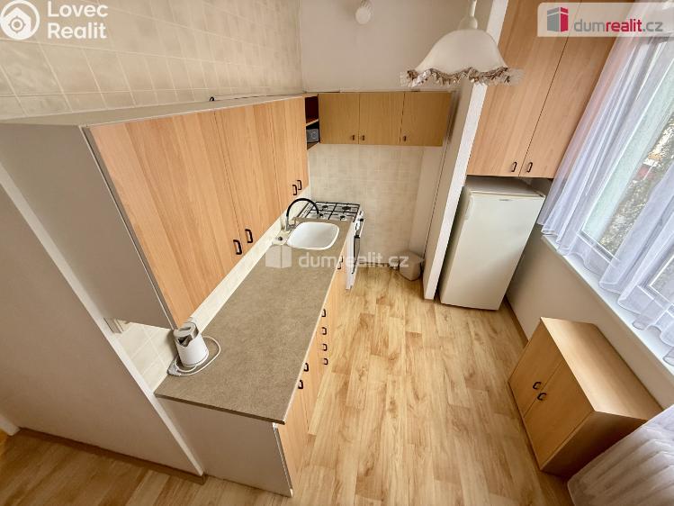 Rent apartment 1+1 Kralupy nad Vltavou, Předmostí č. 8