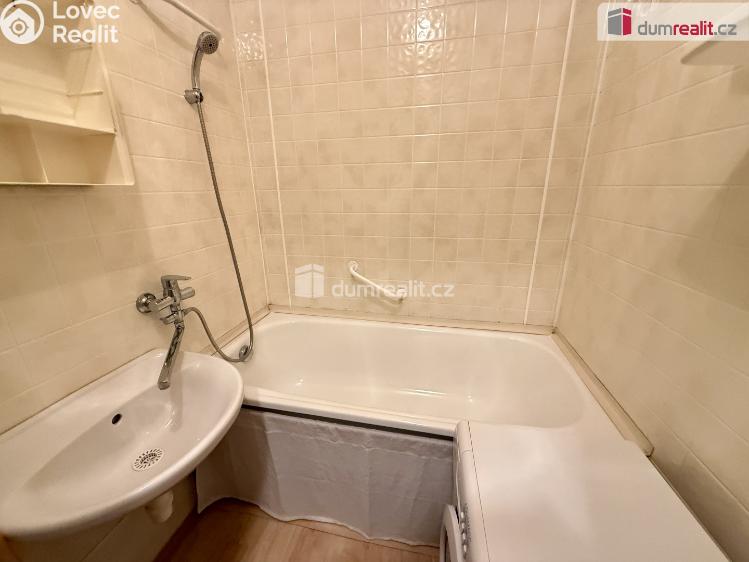 Rent apartment 1+1 Kralupy nad Vltavou, Předmostí č. 10