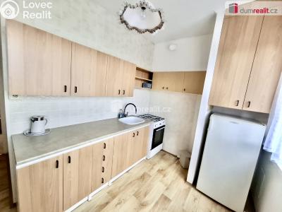 Pronájem bytu 1+1 Kralupy nad Vltavou, Předmostí č. 3