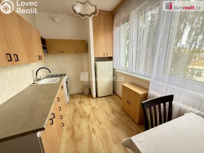 Pronájem bytu 1+1 Kralupy nad Vltavou, Předmostí č. 6