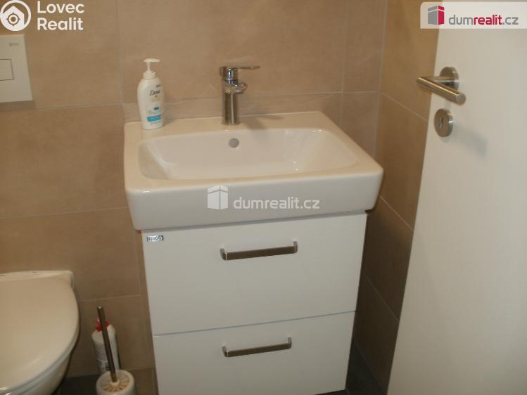 Pronájem bytu 1+1 Rožnov pod Radhoštěm, V Aleji č. 3