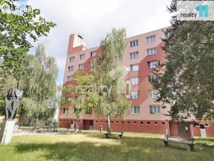 Pronájem bytu 1+1 Staňkov, Na Tržišti č. 16