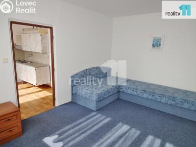 Rent apartment 1+1 Staňkov, Na Tržišti č. 5