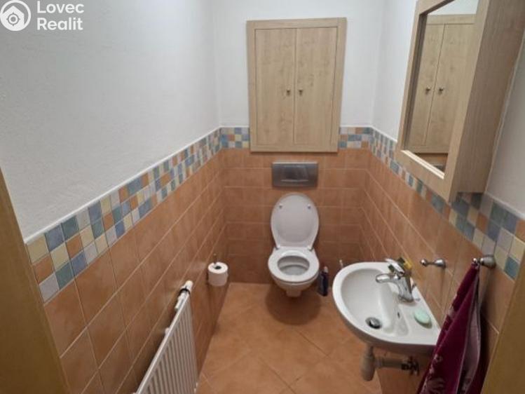 Prodej rodinného domu Mariánské Lázně, Hamrníky č. 10