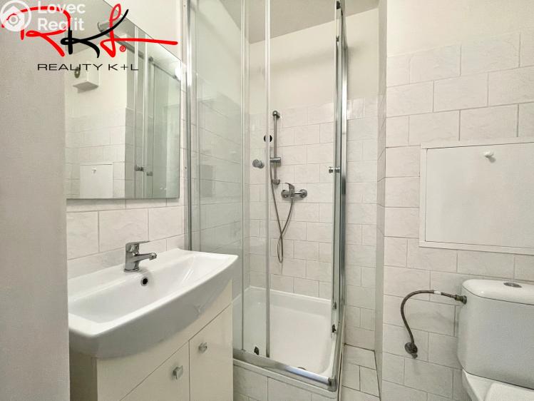Sale apartment 1+1 Milovice, Spojovací č. 10