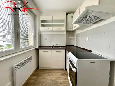 Prodej bytu 1+1 Milovice, Spojovací č. 1