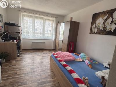 Rent apartment 2+1 Velké Meziříčí, Krškova č. 2