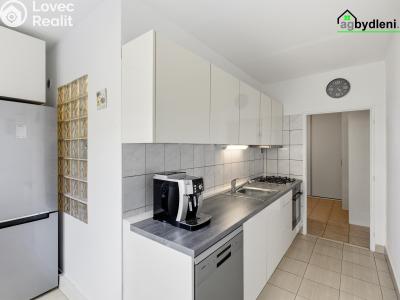Sale apartment 2+1 Plzeň č. 2
