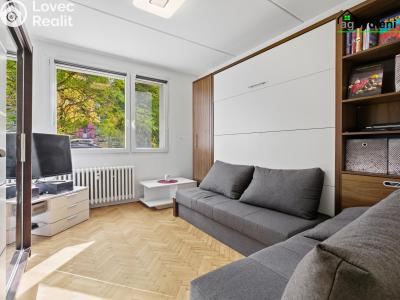Sale apartment 2+1 Plzeň č. 4