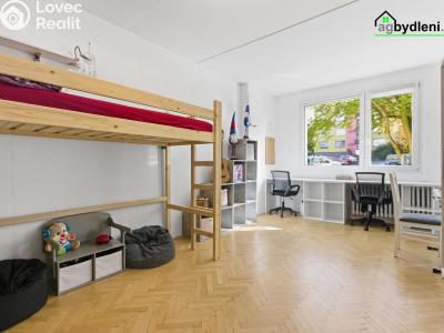 Sale apartment 2+1 Plzeň č. 6