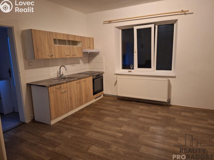 Pronájem bytu 1+1 Děčín, Riegrova č. 1