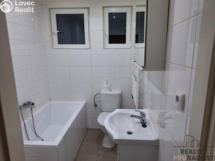 Pronájem bytu 1+1 Děčín, Riegrova č. 3