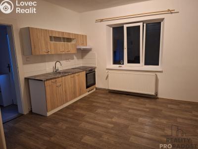 Pronájem bytu 1+1 Děčín, Riegrova č. 1