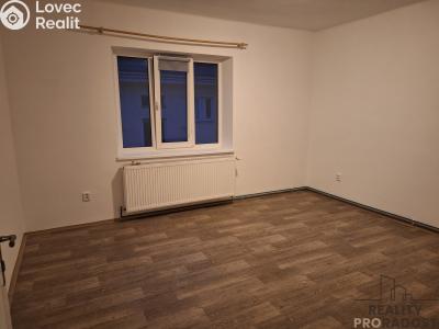 Pronájem bytu 1+1 Děčín, Riegrova č. 2
