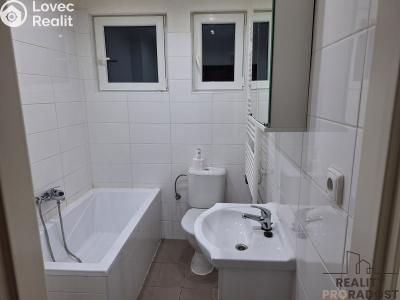 Pronájem bytu 1+1 Děčín, Riegrova č. 3