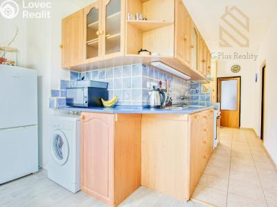 Sale apartment 3+1 Ústí nad Labem, Maková č. 6
