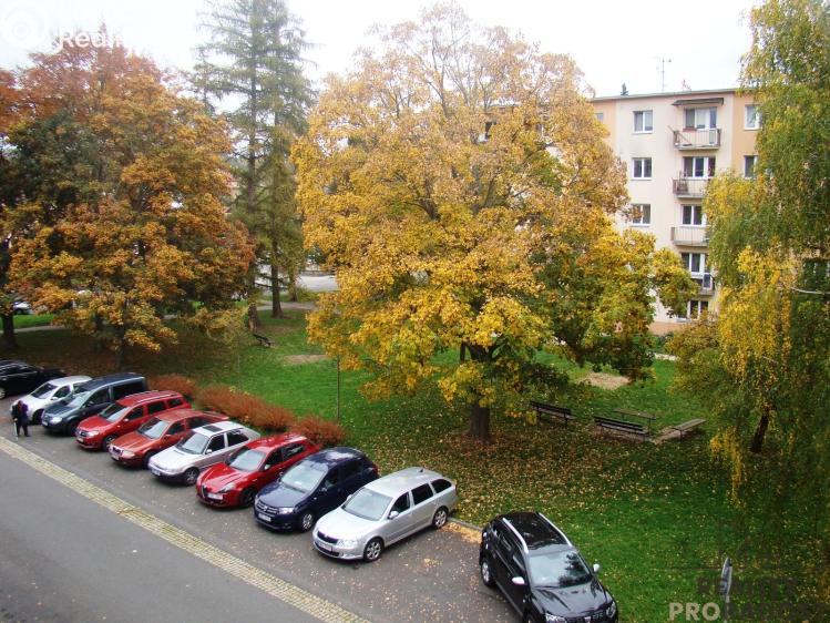 Pronájem bytu 2+1 Šumperk, Zborovská 1562/2 č. 8