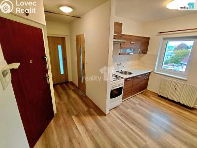 Rent apartment 2+1 Aš, Hlávkova č. 2