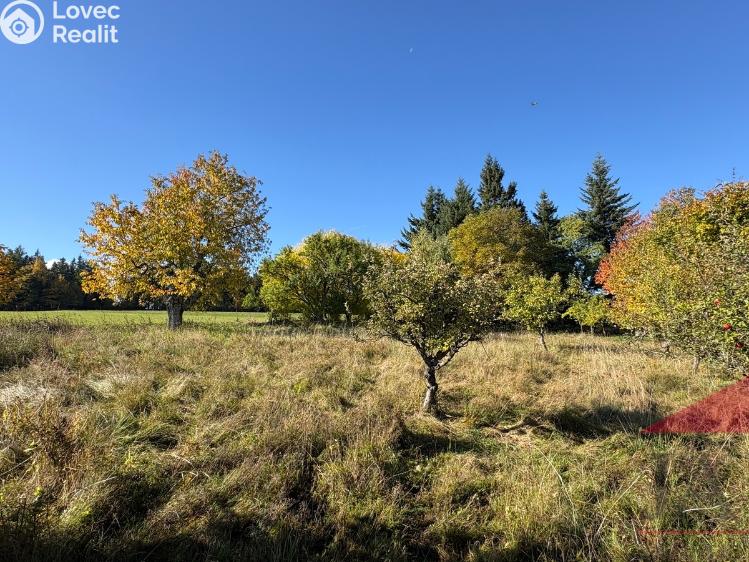 Prodej rodinného domu Strašín č. 11