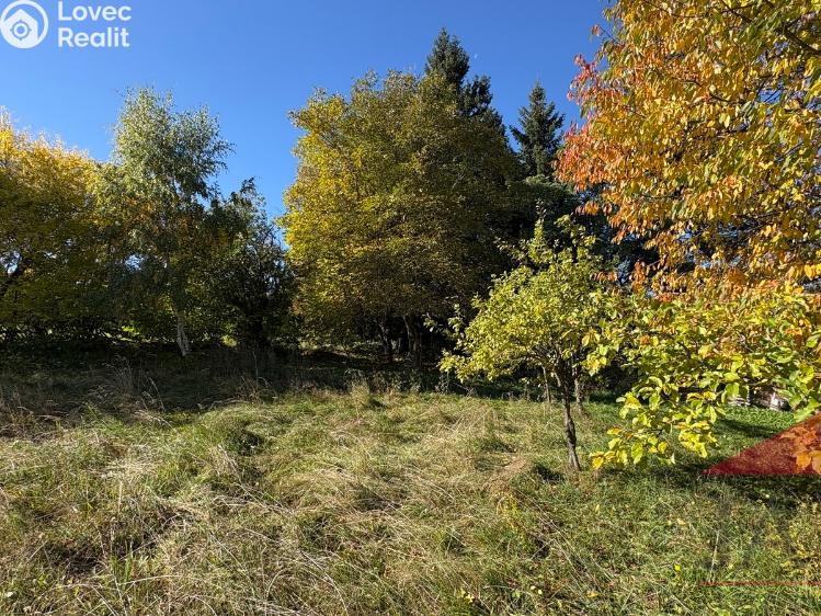 Prodej rodinného domu Strašín č. 12