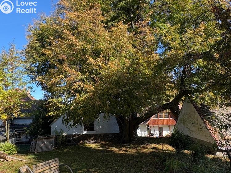 Продажа семейного дома Strašín č. 5