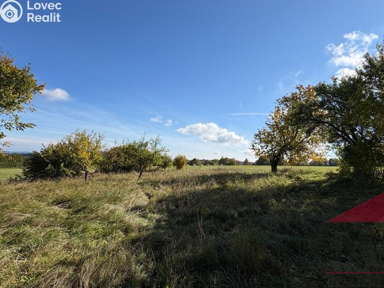 Продажа семейного дома Strašín č. 8