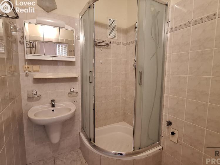 Pronájem bytu 2+1 Ústí nad Labem, Ladova č. 3