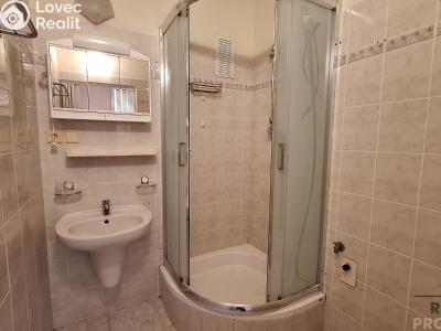 Pronájem bytu 2+1 Ústí nad Labem, Ladova č. 3