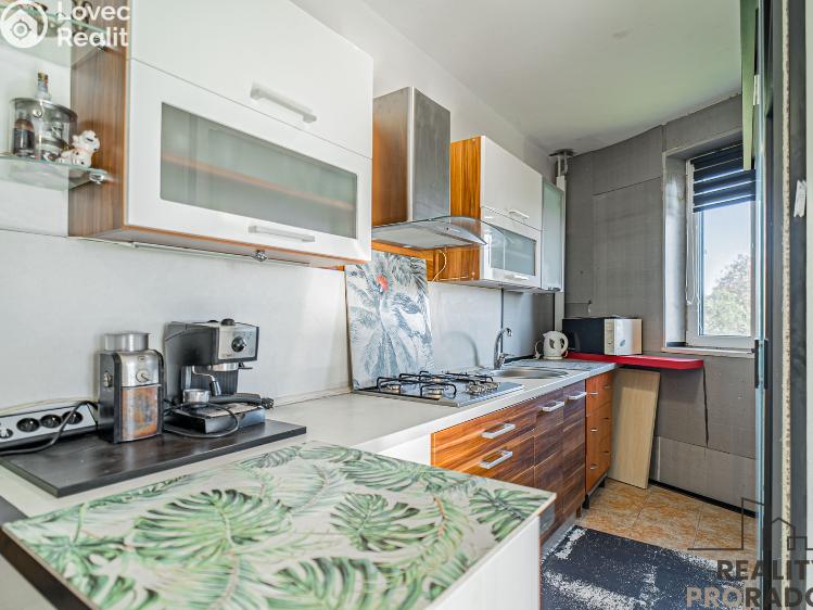 Prodej vily Třinec č. 9