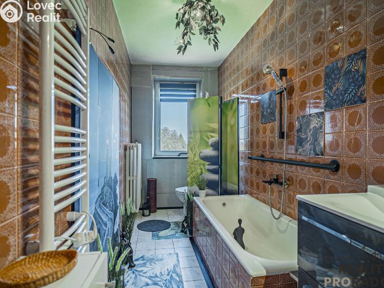 Prodej vily Třinec č. 14