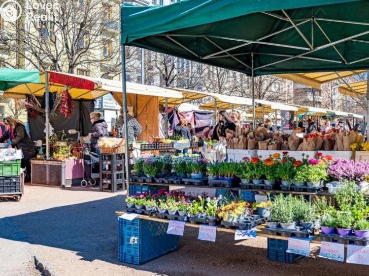 Pronájem bytu 4+KK Praha, Slavíkova č. 21