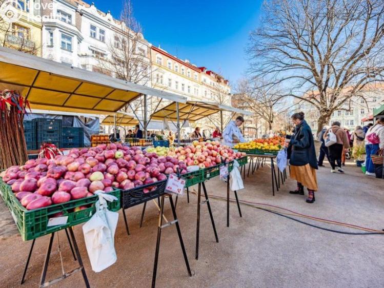 Pronájem bytu 4+KK Praha, Slavíkova č. 23