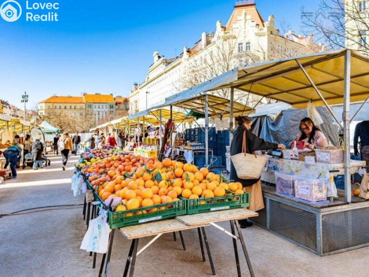 Pronájem bytu 4+KK Praha, Slavíkova č. 24