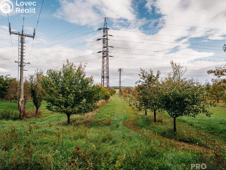 Prodej vinného sklepa Mikulčice č. 9