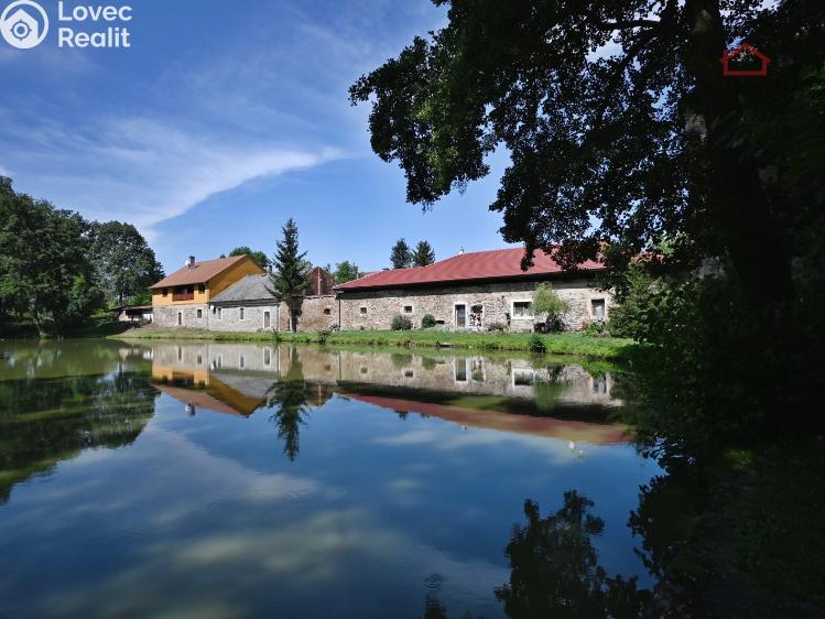 Sale historical properties Malotice č. 29