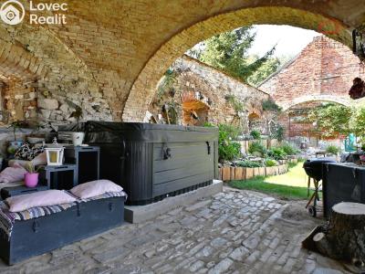 Sale historical properties Malotice č. 4