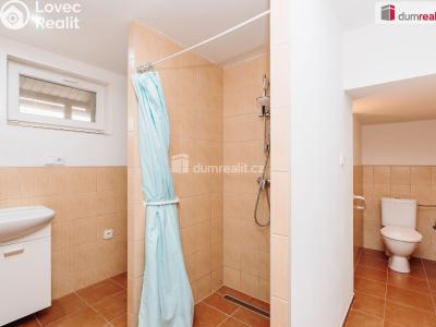 Продаж сімейного будинку Terezín č. 5