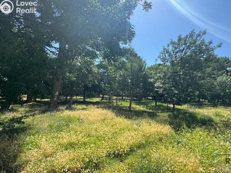 Prodej bytu 3+KK Montesilvano,Itálie č. 20